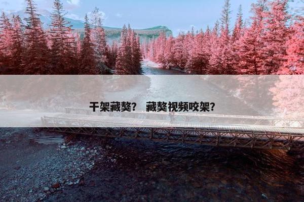 干架藏獒？ 藏獒视频咬架？
