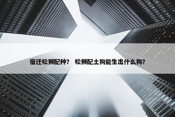 宿迁松狮配种？ 松狮配土狗能生出什么狗？