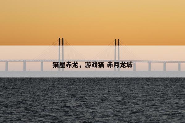 猫屋赤龙，游戏猫 赤月龙城