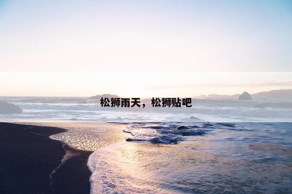 松狮雨天，松狮贴吧
