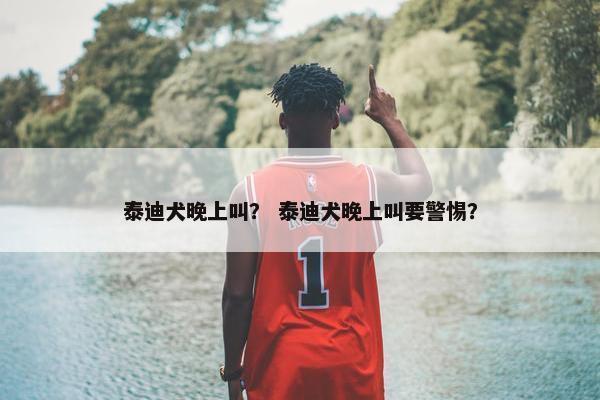 泰迪犬晚上叫？ 泰迪犬晚上叫要警惕？