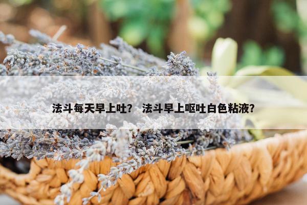 法斗每天早上吐？ 法斗早上呕吐白色粘液？