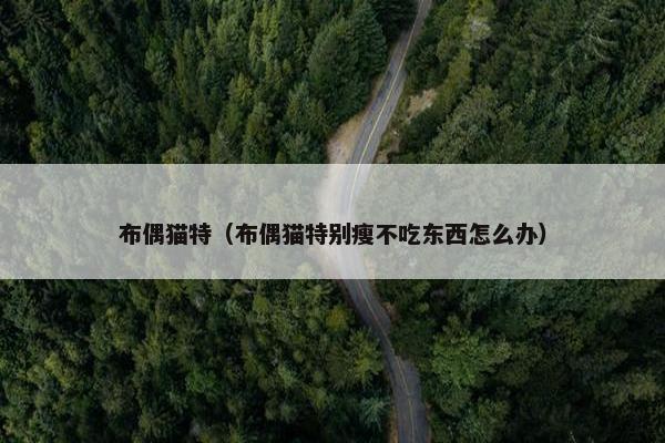 布偶猫特（布偶猫特别瘦不吃东西怎么办）