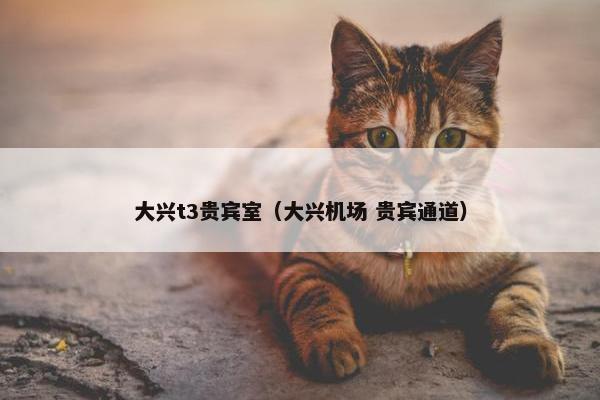 大兴t3贵宾室（大兴机场 贵宾通道）