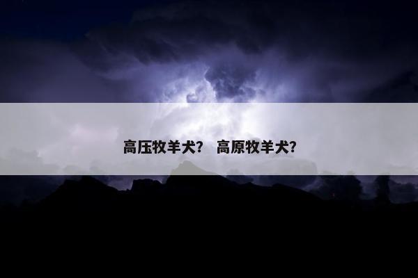 高压牧羊犬？ 高原牧羊犬？