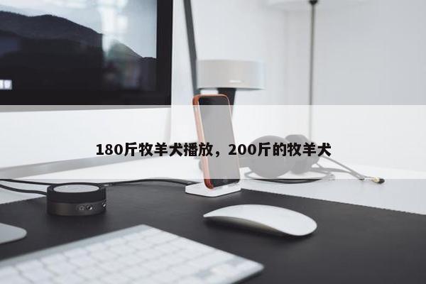 180斤牧羊犬播放，200斤的牧羊犬