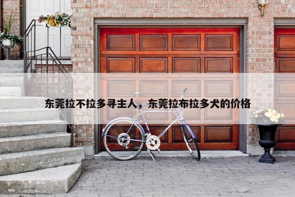 东莞拉不拉多寻主人，东莞拉布拉多犬的价格