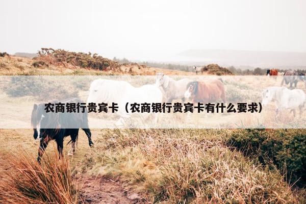农商银行贵宾卡（农商银行贵宾卡有什么要求）