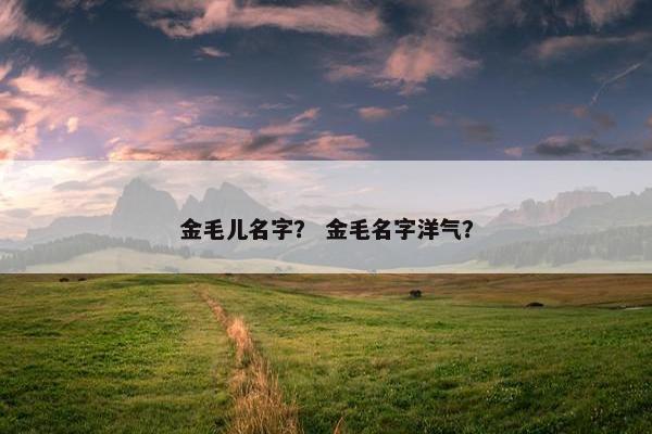 金毛儿名字？ 金毛名字洋气？