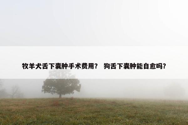 牧羊犬舌下囊肿手术费用？ 狗舌下囊肿能自愈吗？