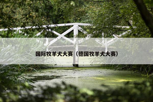 国际牧羊犬大赛（德国牧羊犬大赛）