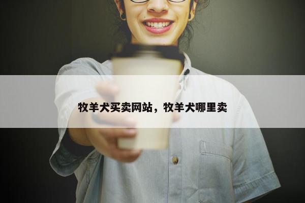 牧羊犬买卖网站，牧羊犬哪里卖