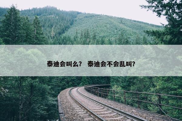 泰迪会叫么？ 泰迪会不会乱叫？