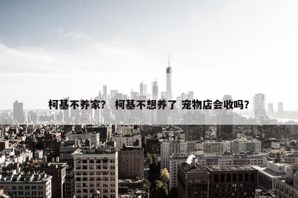 柯基不养家？ 柯基不想养了 宠物店会收吗？