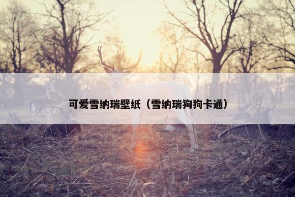 可爱雪纳瑞壁纸（雪纳瑞狗狗卡通）