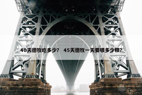 40天德牧吃多少？ 45天德牧一天要喂多少粮？