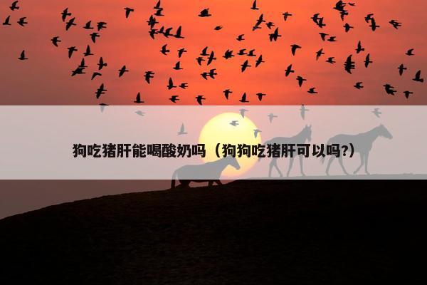 狗吃猪肝能喝酸奶吗（狗狗吃猪肝可以吗?）