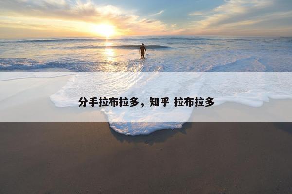 分手拉布拉多，知乎 拉布拉多