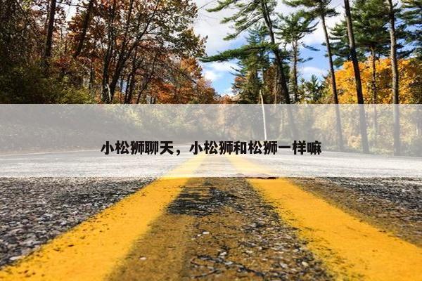 小松狮聊天，小松狮和松狮一样嘛