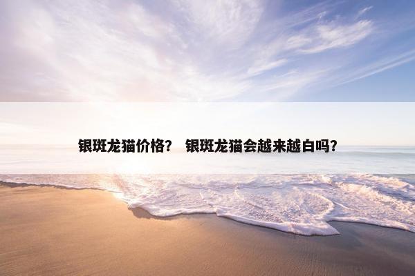 银斑龙猫价格? 银斑龙猫会越来越白吗? 银斑龙猫价格? 银斑龙猫会越来越白吗?