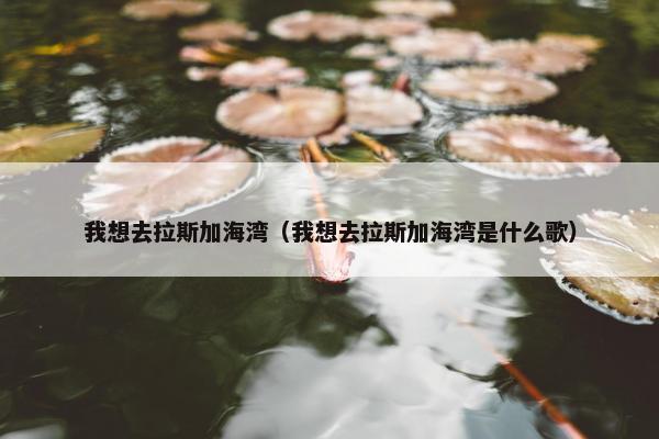 我想去拉斯加海湾（我想去拉斯加海湾是什么歌）