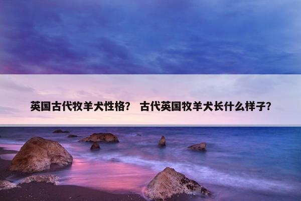 英国古代牧羊犬性格？ 古代英国牧羊犬长什么样子？