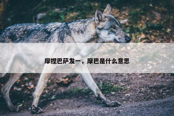 摩捏巴萨发一，摩巴是什么意思