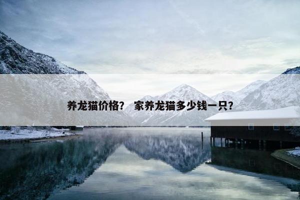 养龙猫价格？ 家养龙猫多少钱一只？