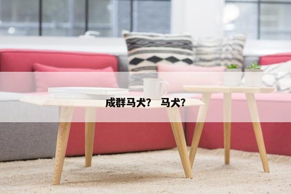 成群马犬？ 马犬？