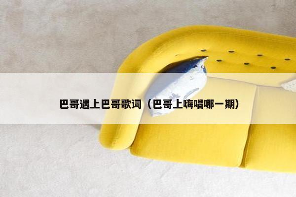 巴哥遇上巴哥歌词（巴哥上嗨唱哪一期）