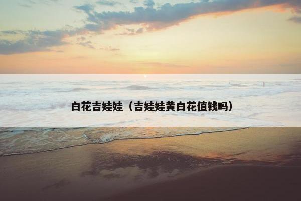 白花吉娃娃（吉娃娃黄白花值钱吗）
