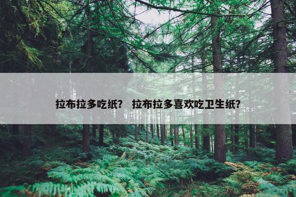 拉布拉多吃纸？ 拉布拉多喜欢吃卫生纸？