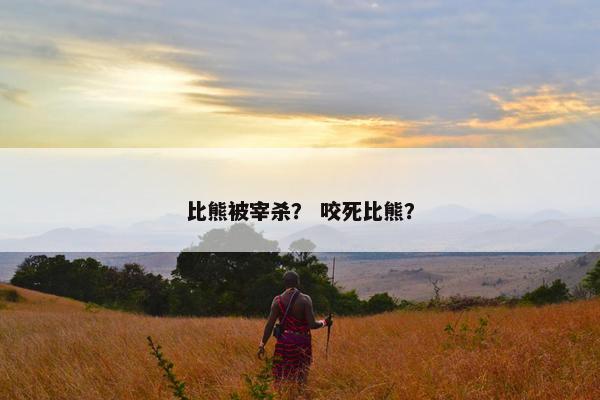 比熊被宰杀？ 咬死比熊？