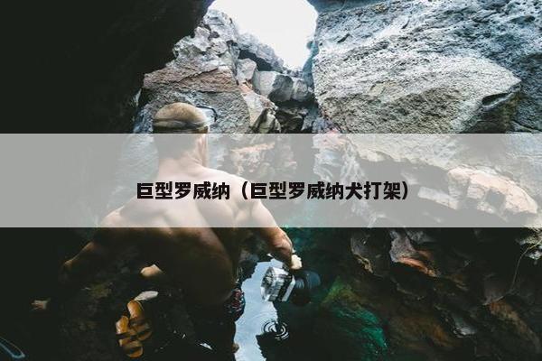 巨型罗威纳（巨型罗威纳犬打架）