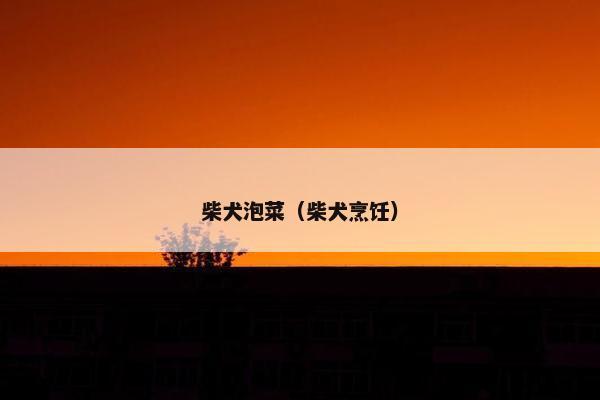 柴犬泡菜（柴犬烹饪）