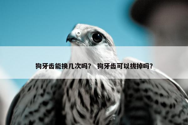狗牙齿能换几次吗？ 狗牙齿可以拔掉吗？