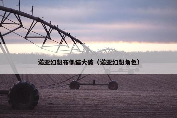 诺亚幻想布偶猫大破（诺亚幻想角色）