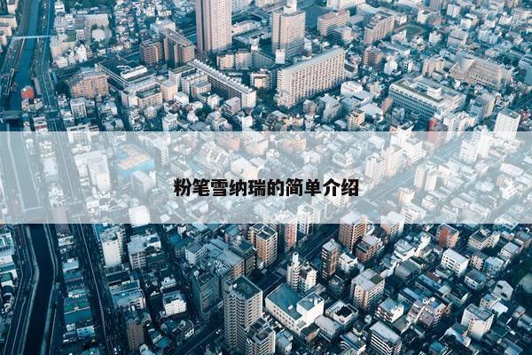 粉笔雪纳瑞的简单介绍
