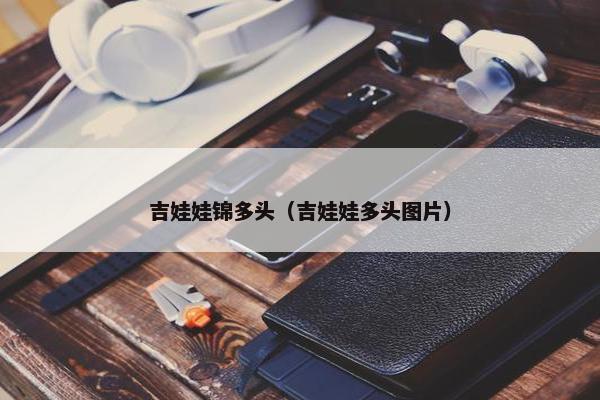 吉娃娃锦多头（吉娃娃多头图片）