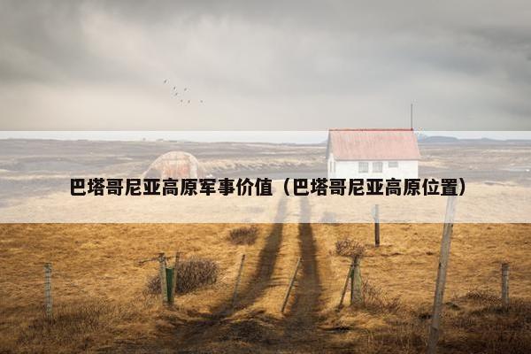 巴塔哥尼亚高原军事价值（巴塔哥尼亚高原位置）