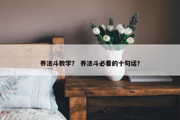 养法斗教学？ 养法斗必看的十句话？