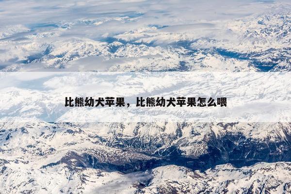 比熊幼犬苹果，比熊幼犬苹果怎么喂