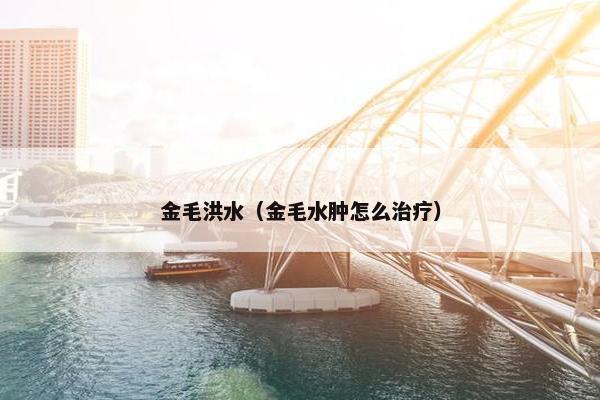 金毛洪水（金毛水肿怎么治疗）