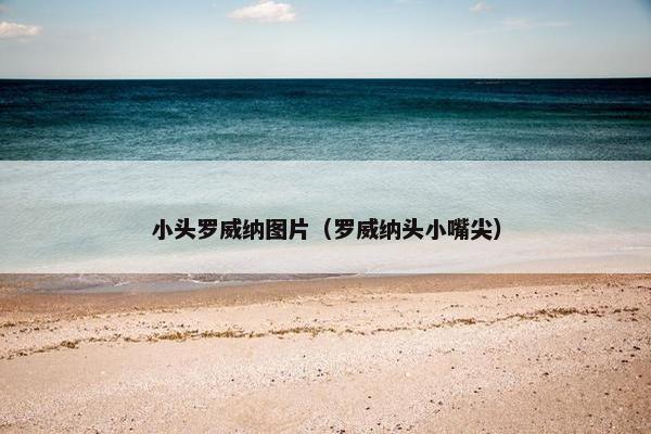 小头罗威纳图片（罗威纳头小嘴尖）