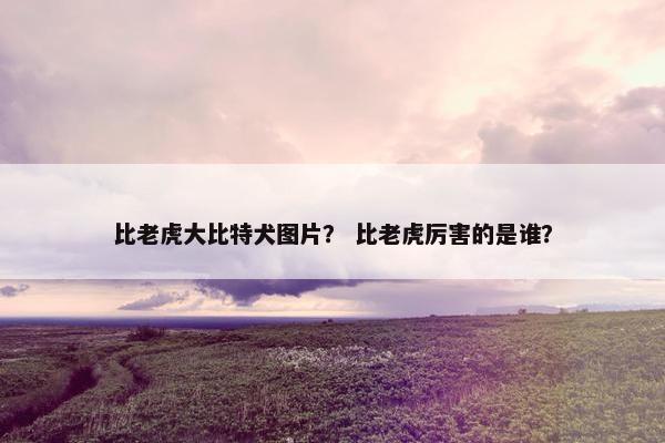 比老虎大比特犬图片？ 比老虎厉害的是谁？