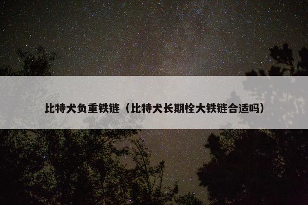 比特犬负重铁链（比特犬长期栓大铁链合适吗）