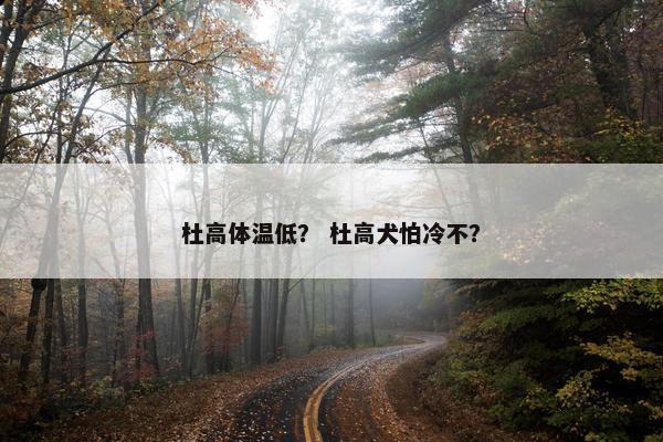 杜高体温低？ 杜高犬怕冷不？