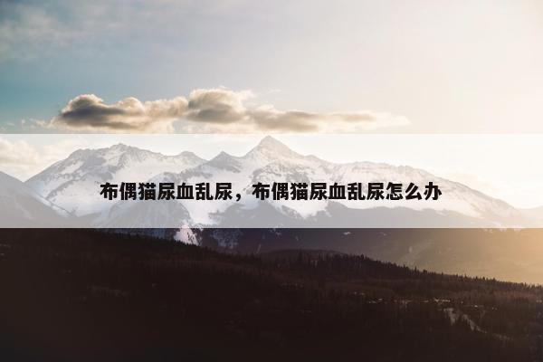 布偶猫尿血乱尿，布偶猫尿血乱尿怎么办