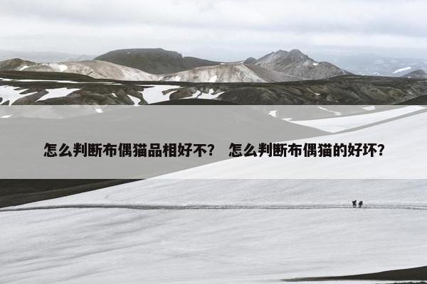 怎么判断布偶猫品相好不？ 怎么判断布偶猫的好坏？