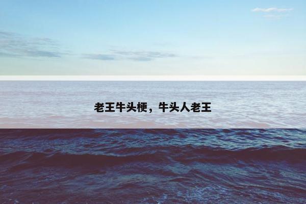 老王牛头梗，牛头人老王